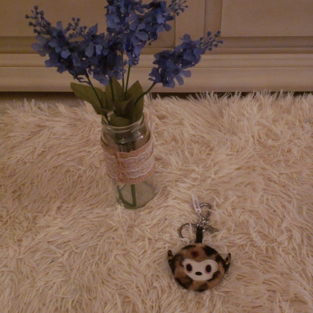 Buster le Fauve Key Ring